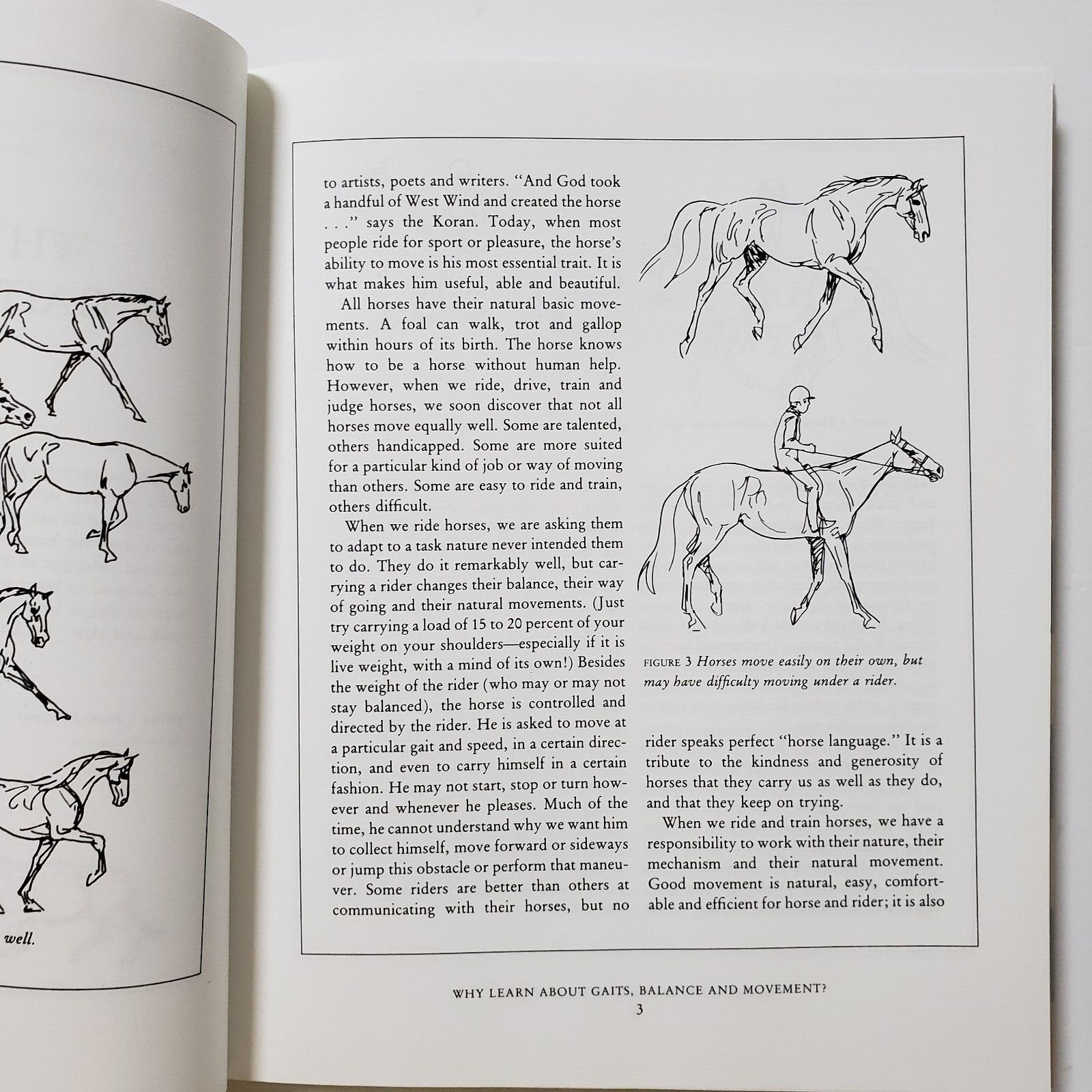 Horse Gaits, Balance and Movement by Susan E. Harris 1993 HC DJ