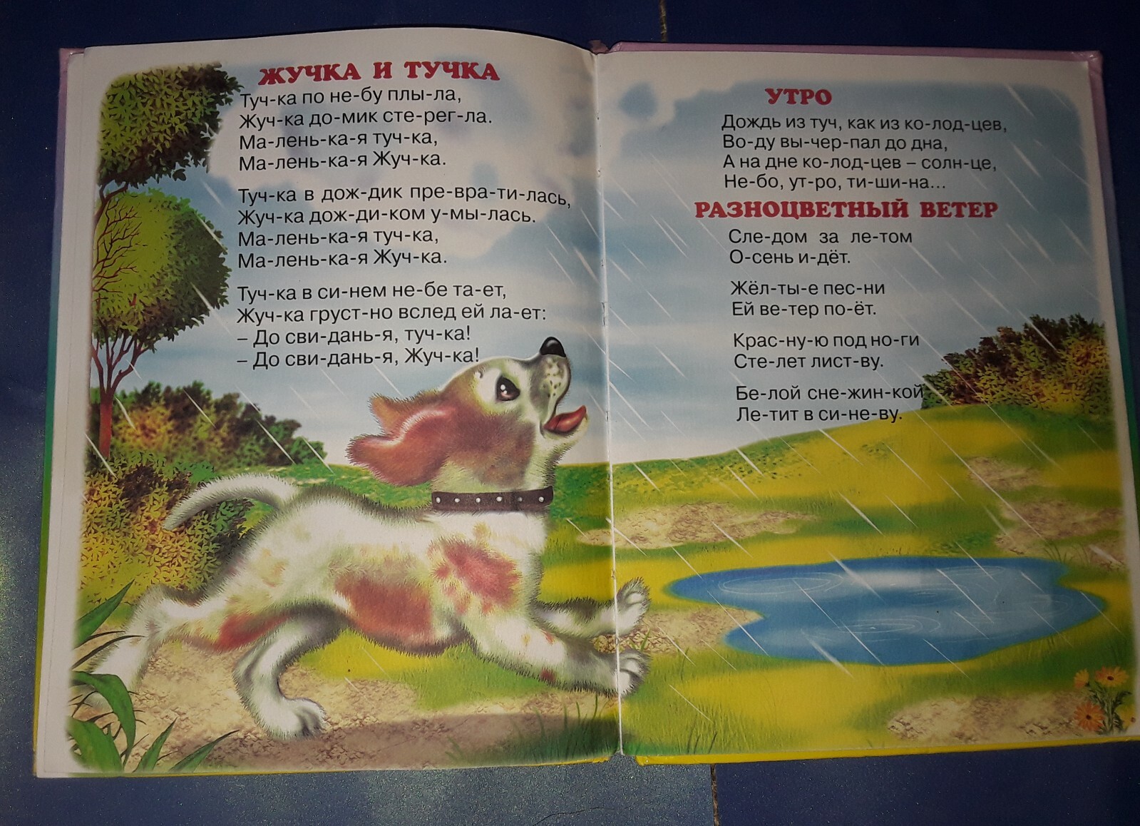 Russian Kids Illustrated Book Textbook for toddlers Stepanov reading syllable