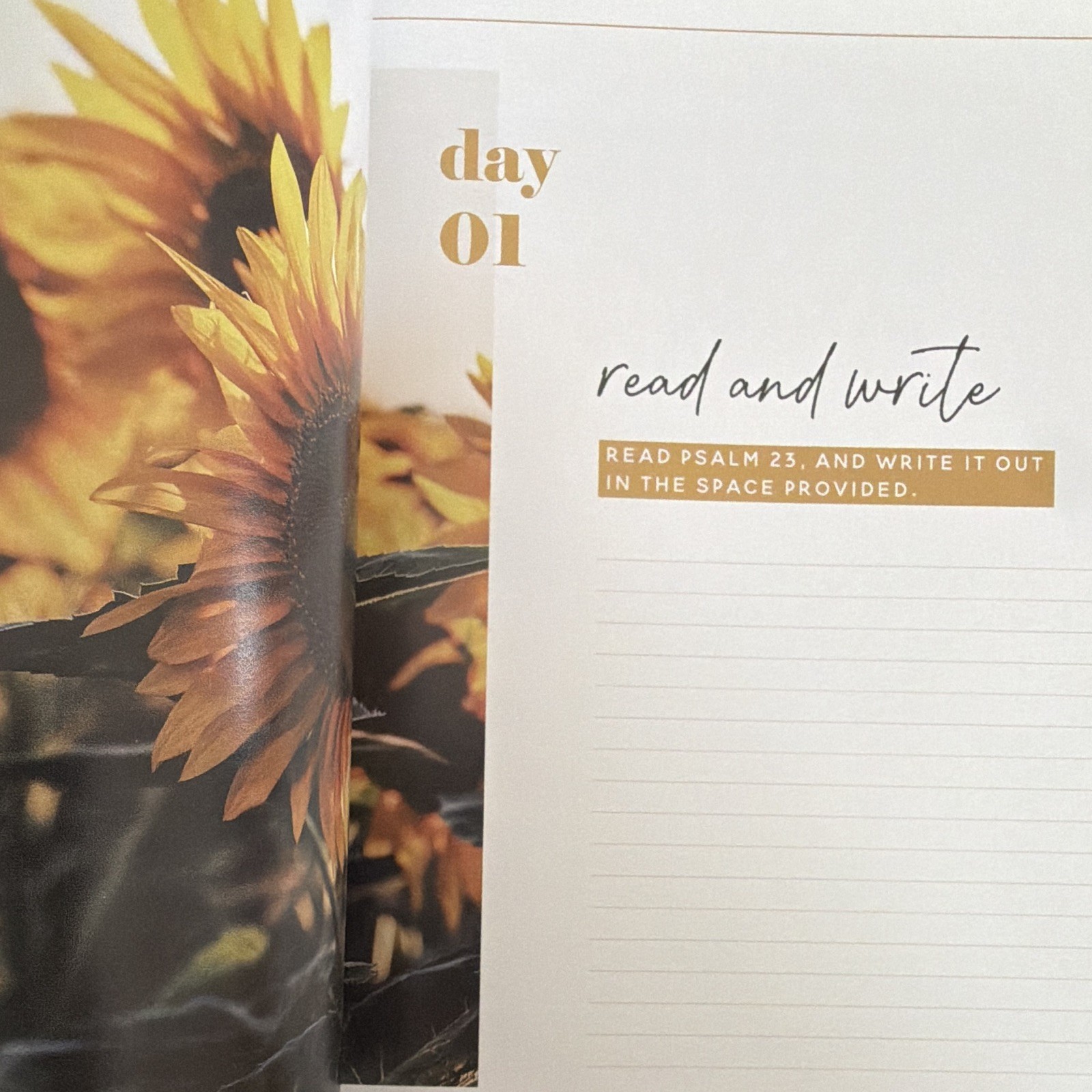 The Daily Grace Co. He Leads Me: A Study of Psalm 23 Kristin Schmucker PB 2017