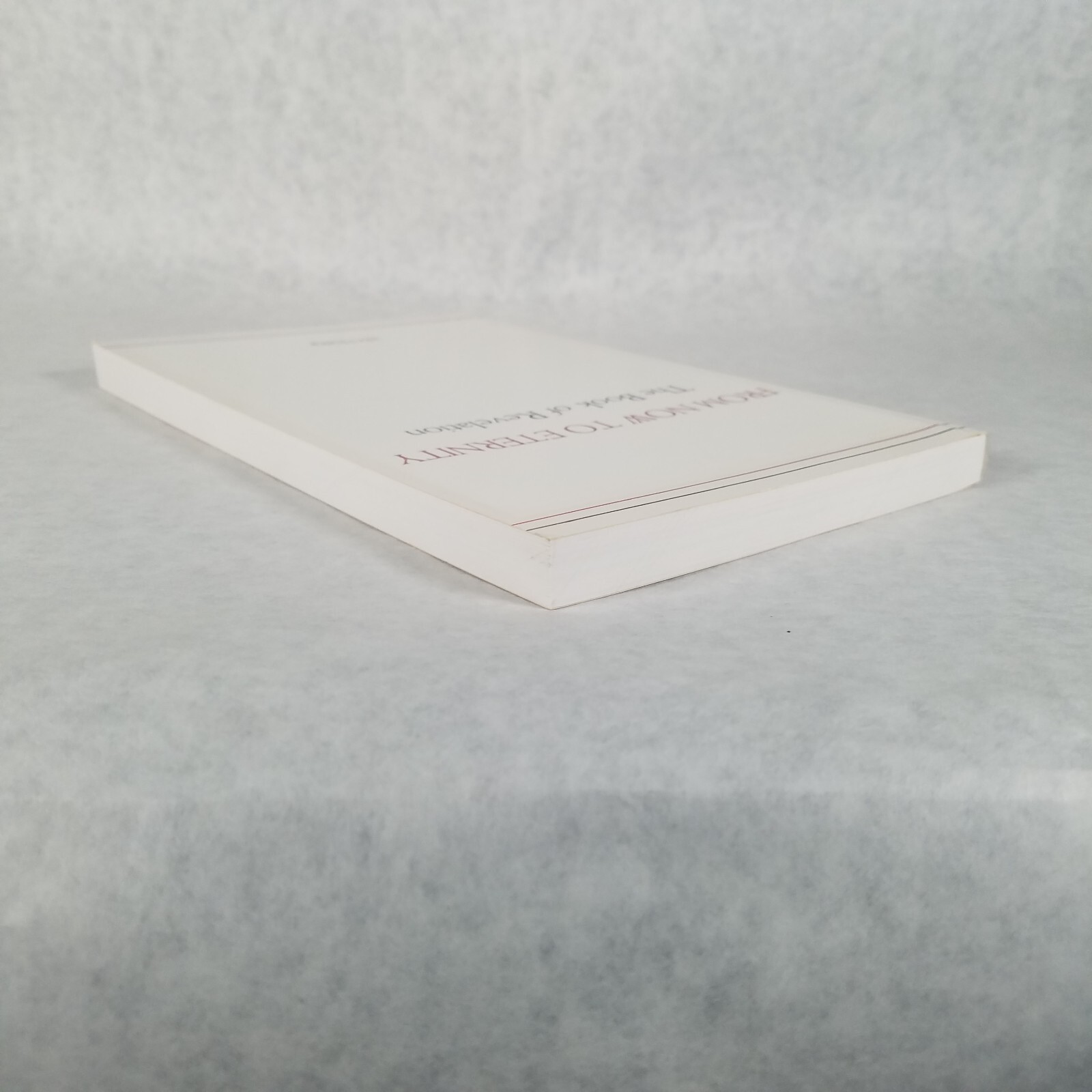 From Now to Eternity: The Book of Revelation – Softcover by John Heading