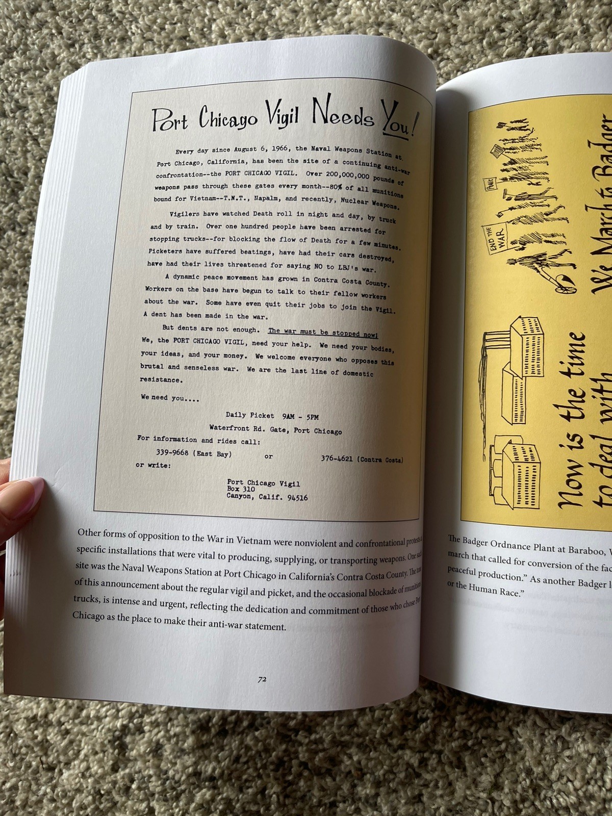 Fists & Flowers: Leaflets from the Sixties (Paperback or Softback)