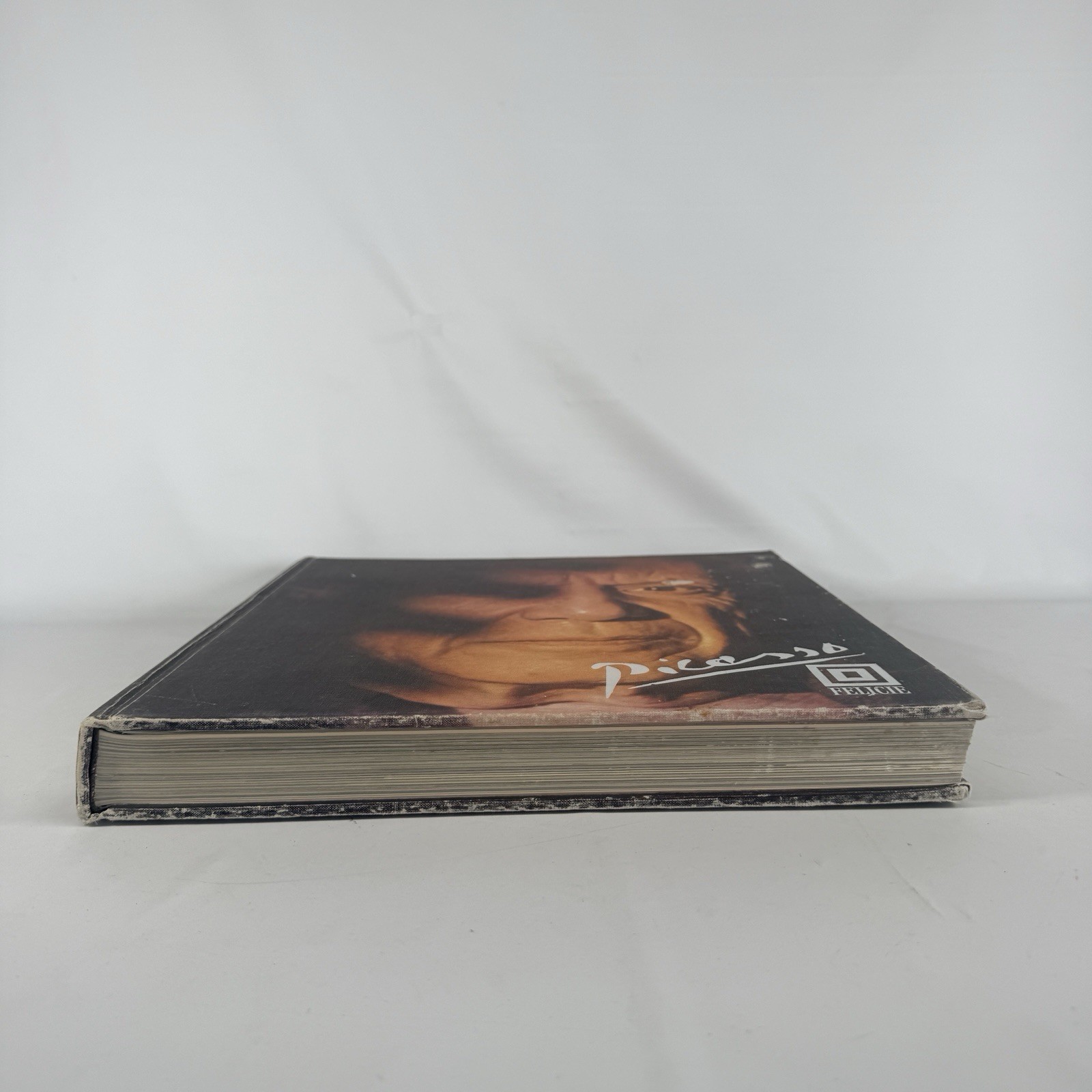 PICASSO Pierre Descargues Felicie Draeger Vintage 1974 Hardcover 276 Pages