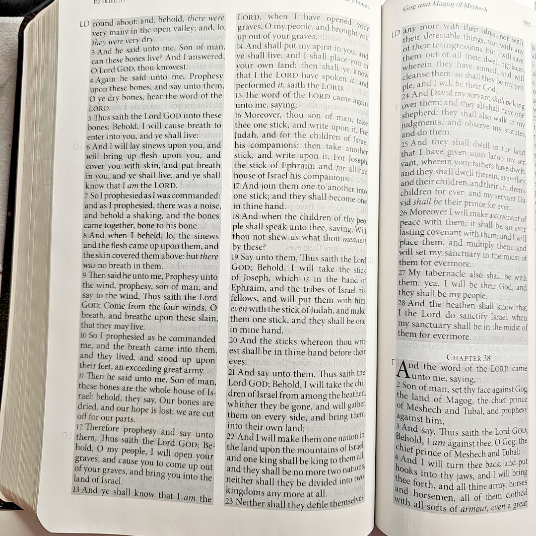 The Jack Van Impe Prophecy Bible KJV Red Letter Limited Edition Leather Bound