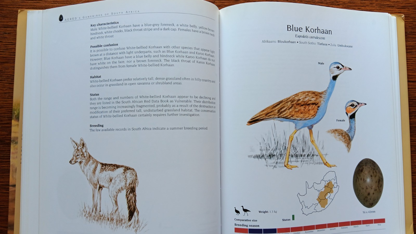 AGRED’s Gamebirds of South Africa : Field Identification and Management