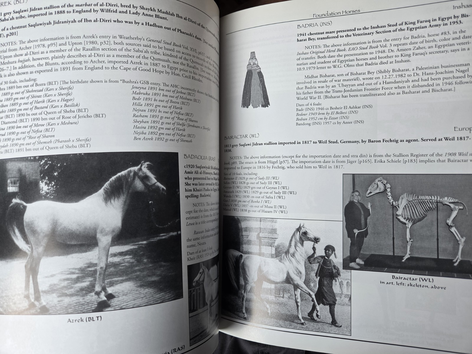 Al Khamsa Arabians III Arabian Horse Equestrian Book + Disc