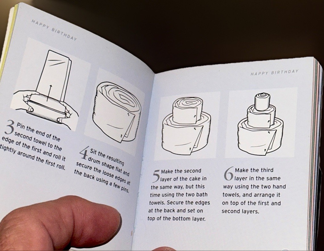 THE LITTLE BOOK OF TOWEL ORIGAMI By Alison Jenkins *Excellent Condition*