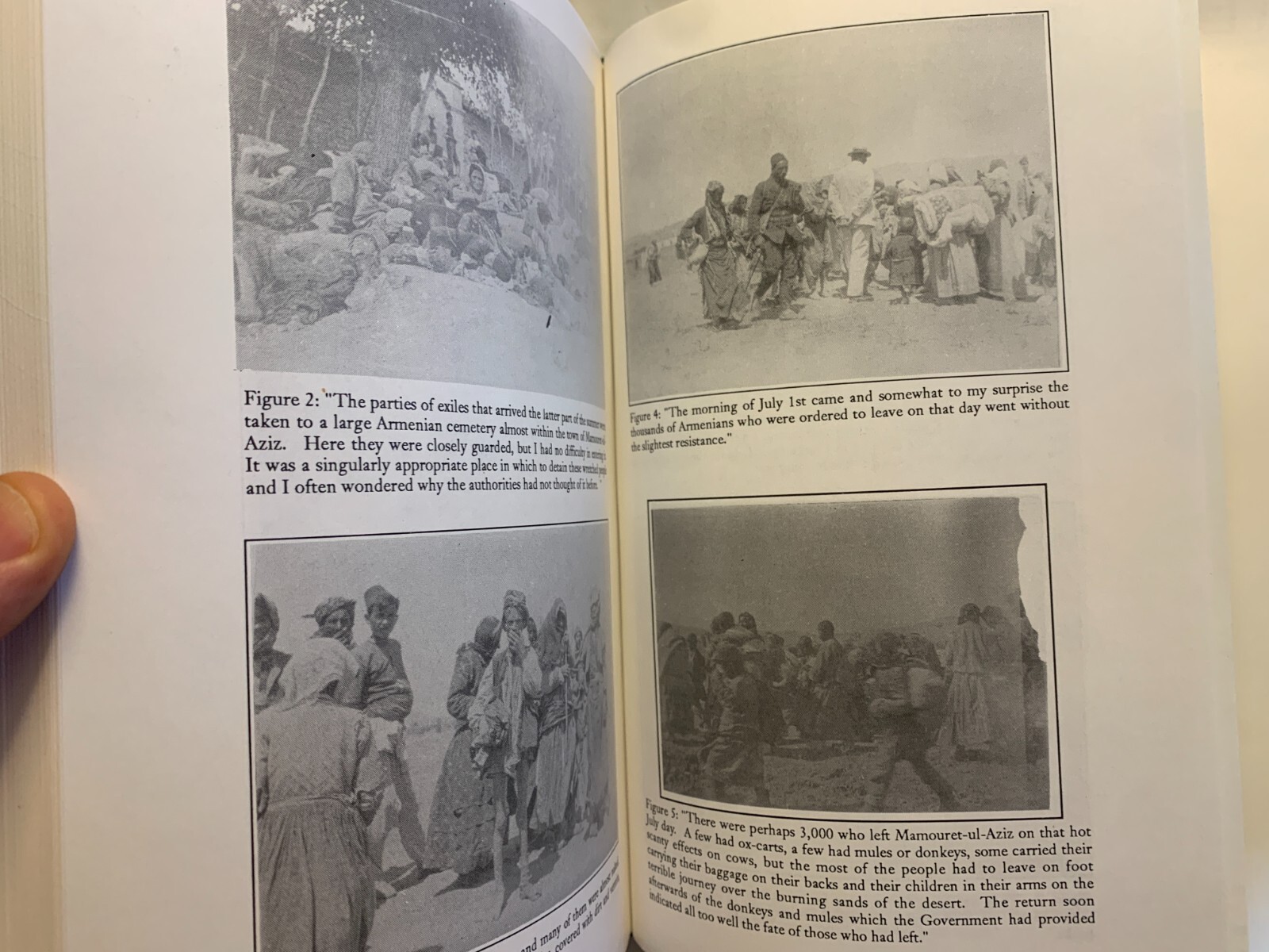 Slaughterhouse Province An American Diplomat’s Report on the Armenian Genocide