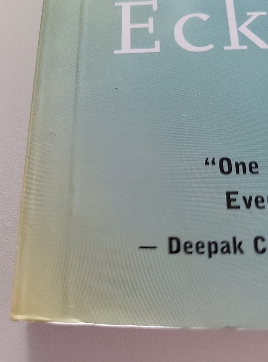 Power of Now : A Guide to Spiritual Enlightenment by Eckhart Tolle (2004)