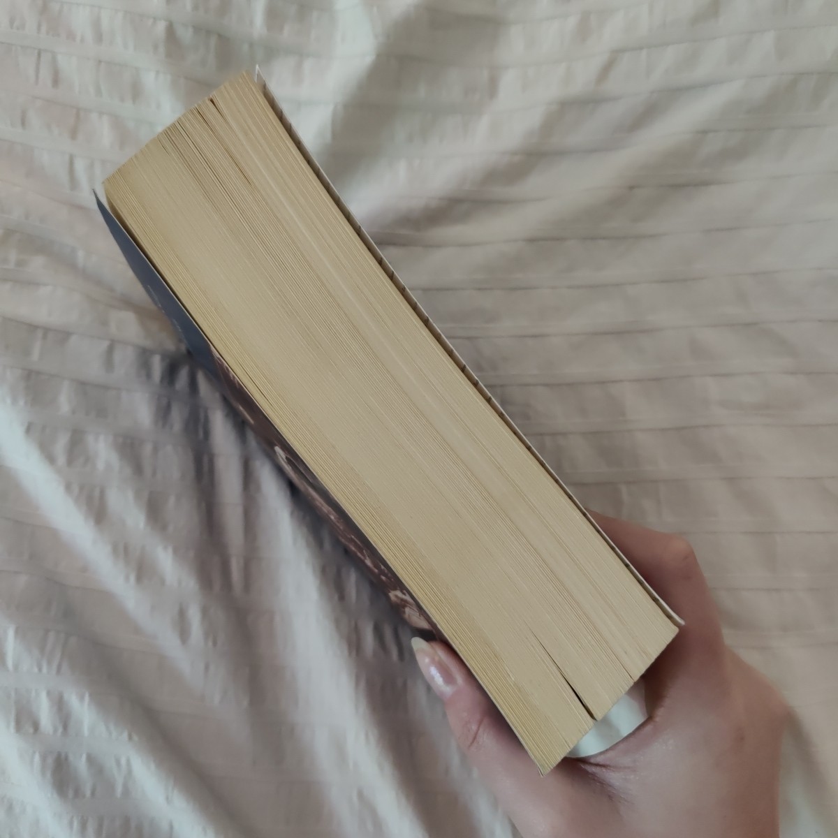 The Possessed (Barnes & Noble Classics), Dostoevsky, Fyodor, Book Paperback