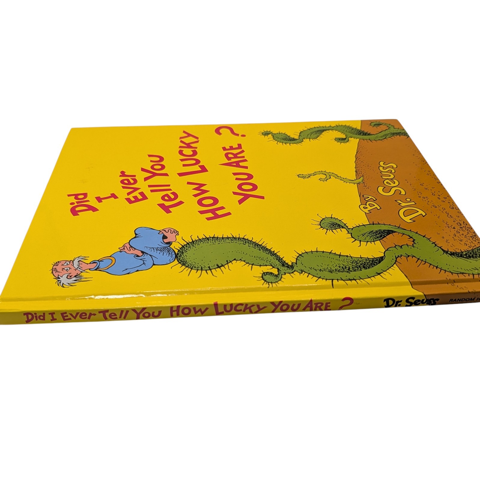 Did I Ever Tell You How Lucky You Are By Dr Seuss Hardcover Book 1973 Vintage