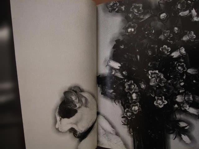 Nobuyoshi Araki „Erotos“ Photo Book First edition Hardcover Japanese