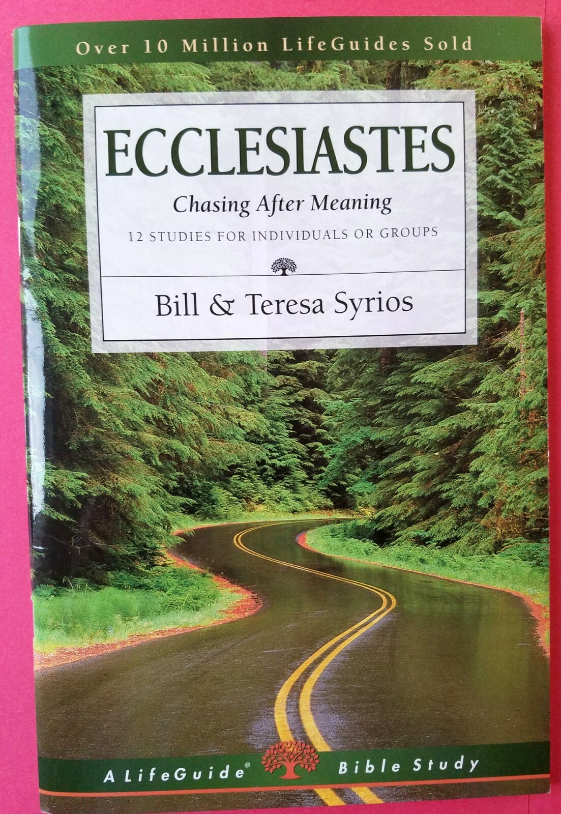 Bill, Teresa Syrios~ Ecclesiastes : Chasing after Meaning ~ Intervarsity Press