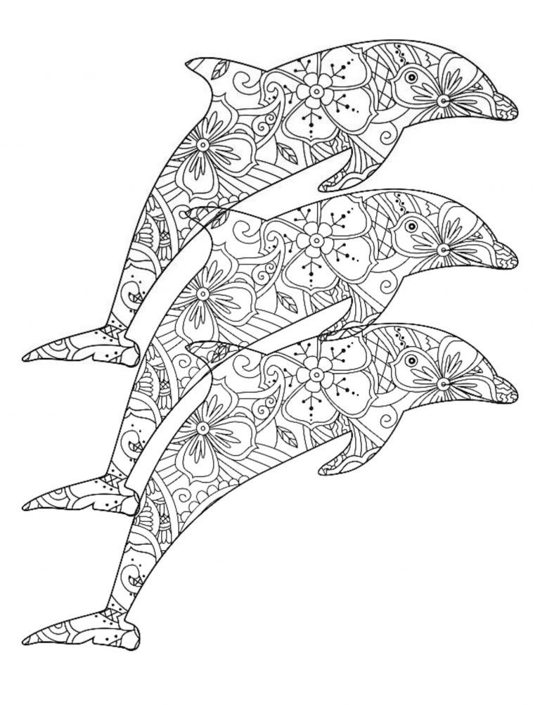 Best Dolphin Coloring Book Save the Planet Series 108 Pages 8.5 x 11 For all age