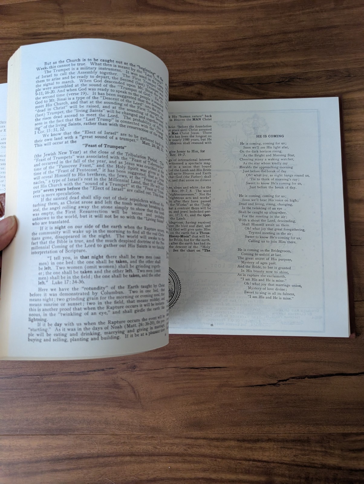 Vintage: Dispensational Truth or God’s Plan and Purpose Clarence Larkin HC