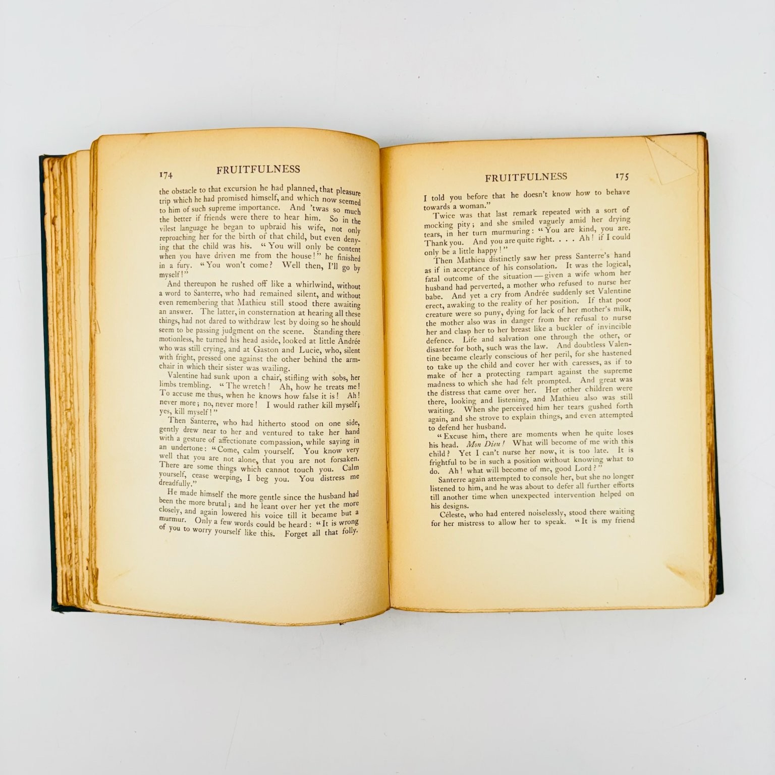 Fruitfulness Émile Zola 1900 First Edition Doubleday Page & Co Classic Novel