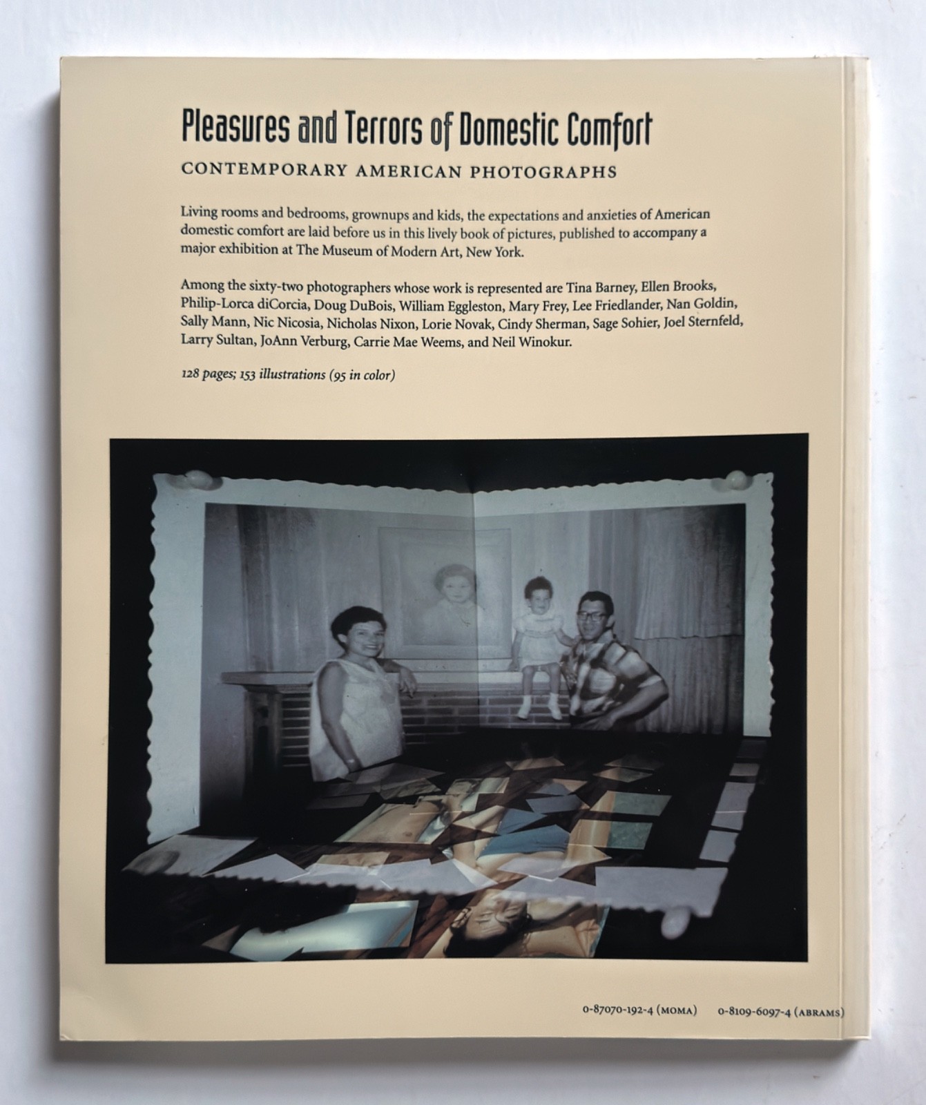 Pleasures and Terrors of Domestic Comfort, Peter Galassi (1991) 1st Edition Rare