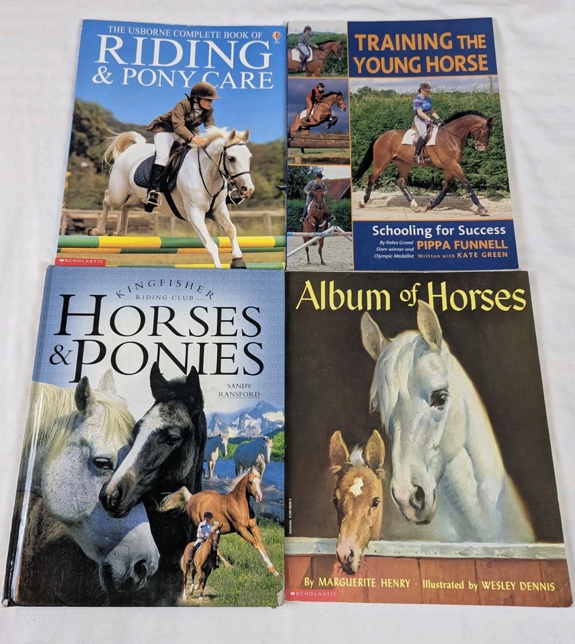 Horse Pony Equestrian Riding Training Horsemanship Dressage Eventing Lot of 13