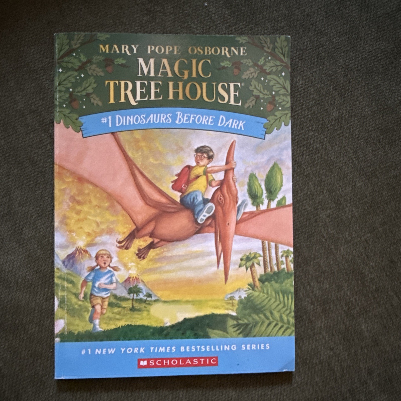 Mary Pope Osborne Magic Tree House Ser. Books 1-4 Illustrated Paperback Set