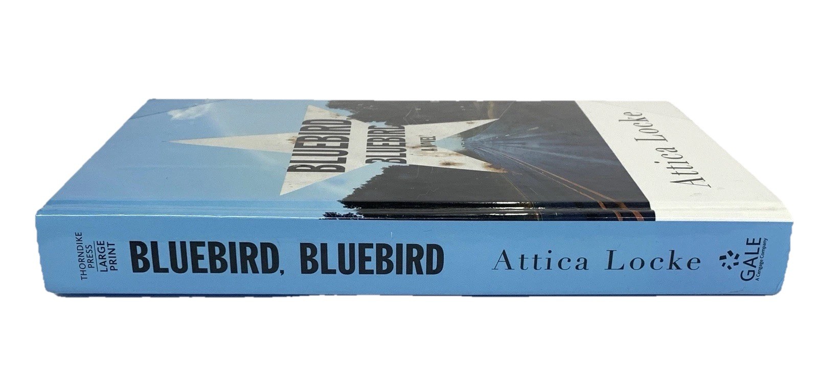Bluebird, Bluebird Attica Locke Thorndike 2017 Press Large Print Library Binding