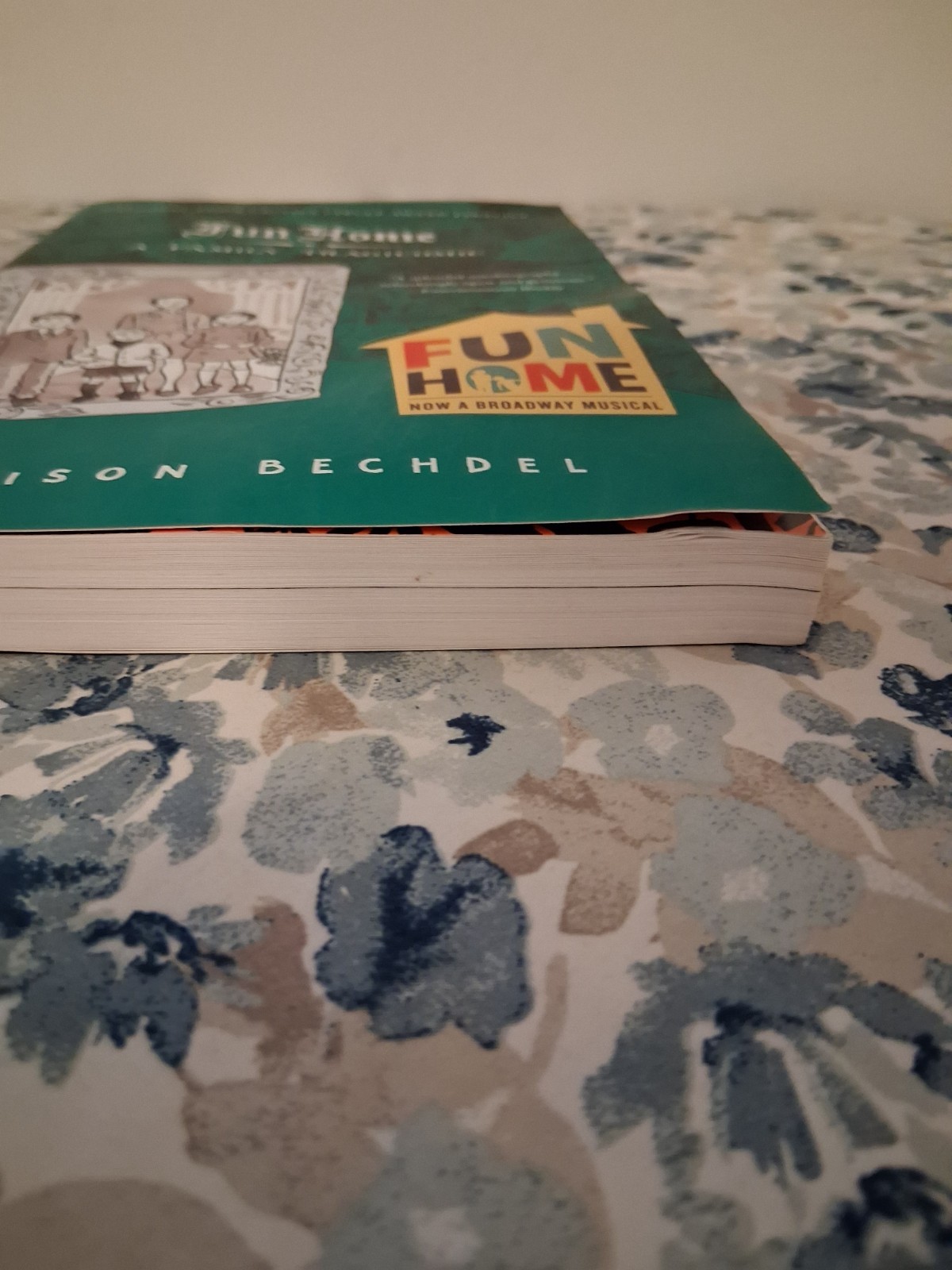 Fun Home: A Family Tragicomic – Paperback By Alison Bechdel