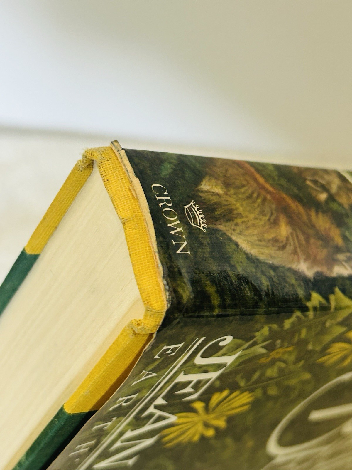 Clan Of The Cave Bear Jean M. Auel 1st Edition/1st Print HCDJ Earth’s Children