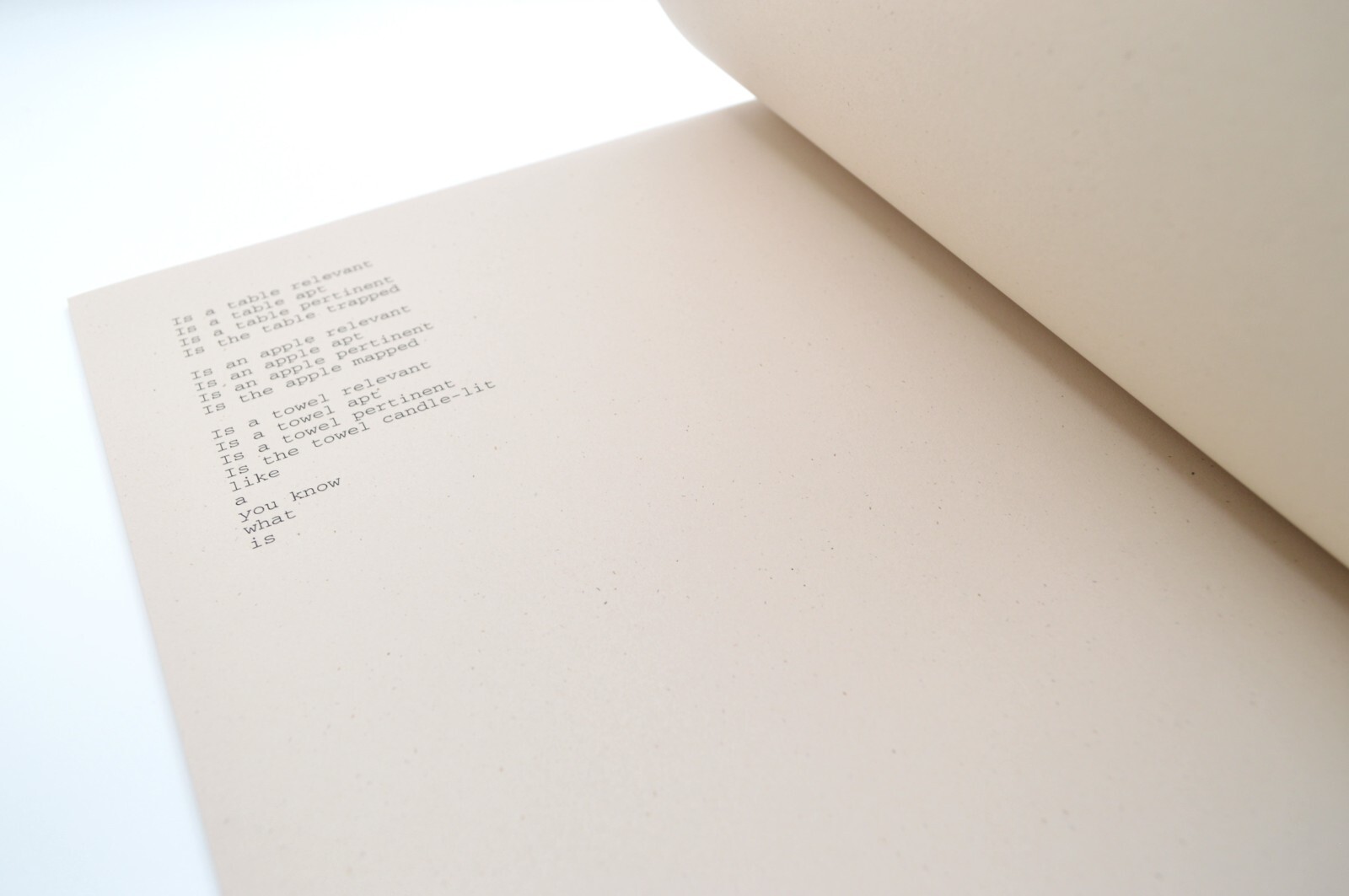 Who is in Charge, Morgan Ritter, 2013, c_L Books, LE, Concrete Poetry, Artist