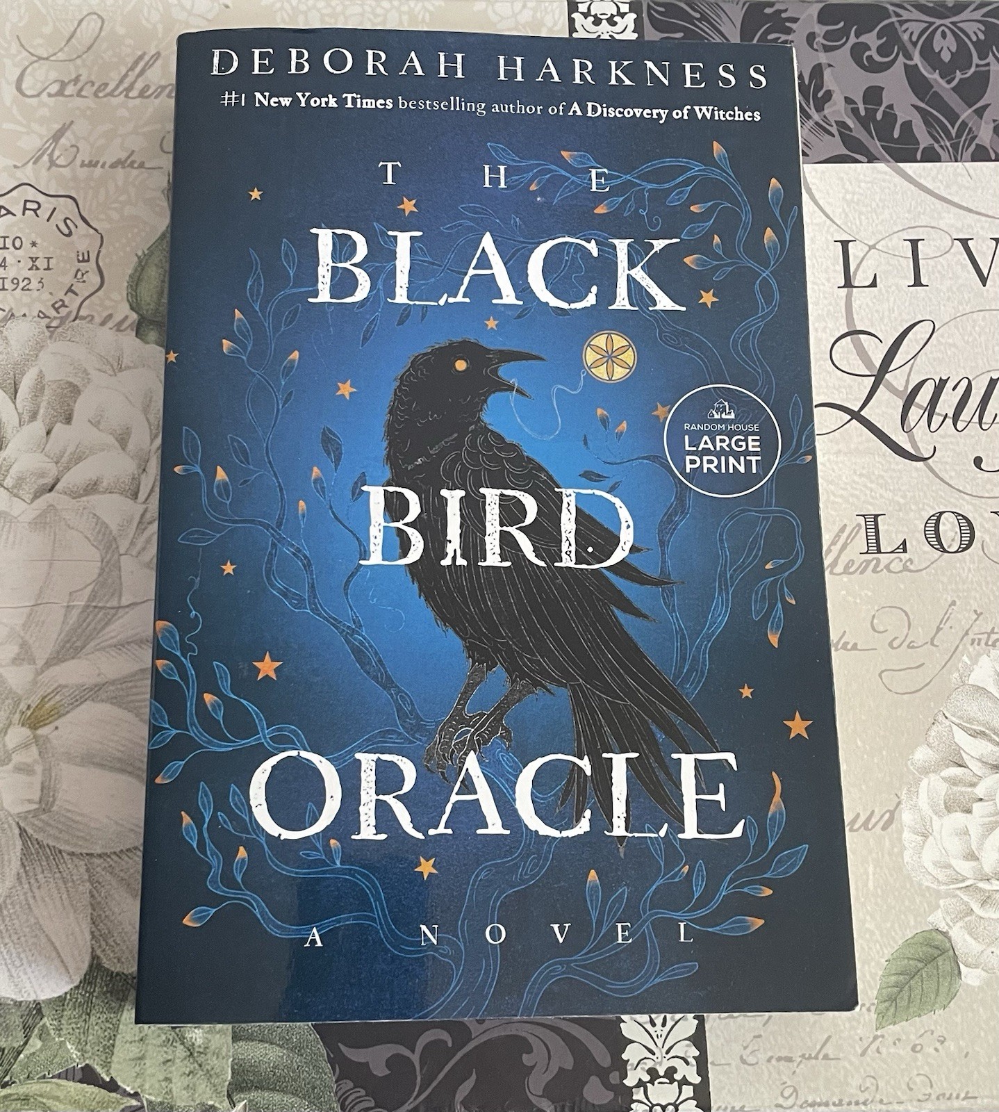 The Black Bird Oracle by Deborah Harkness (Large Print) Paperback NEW