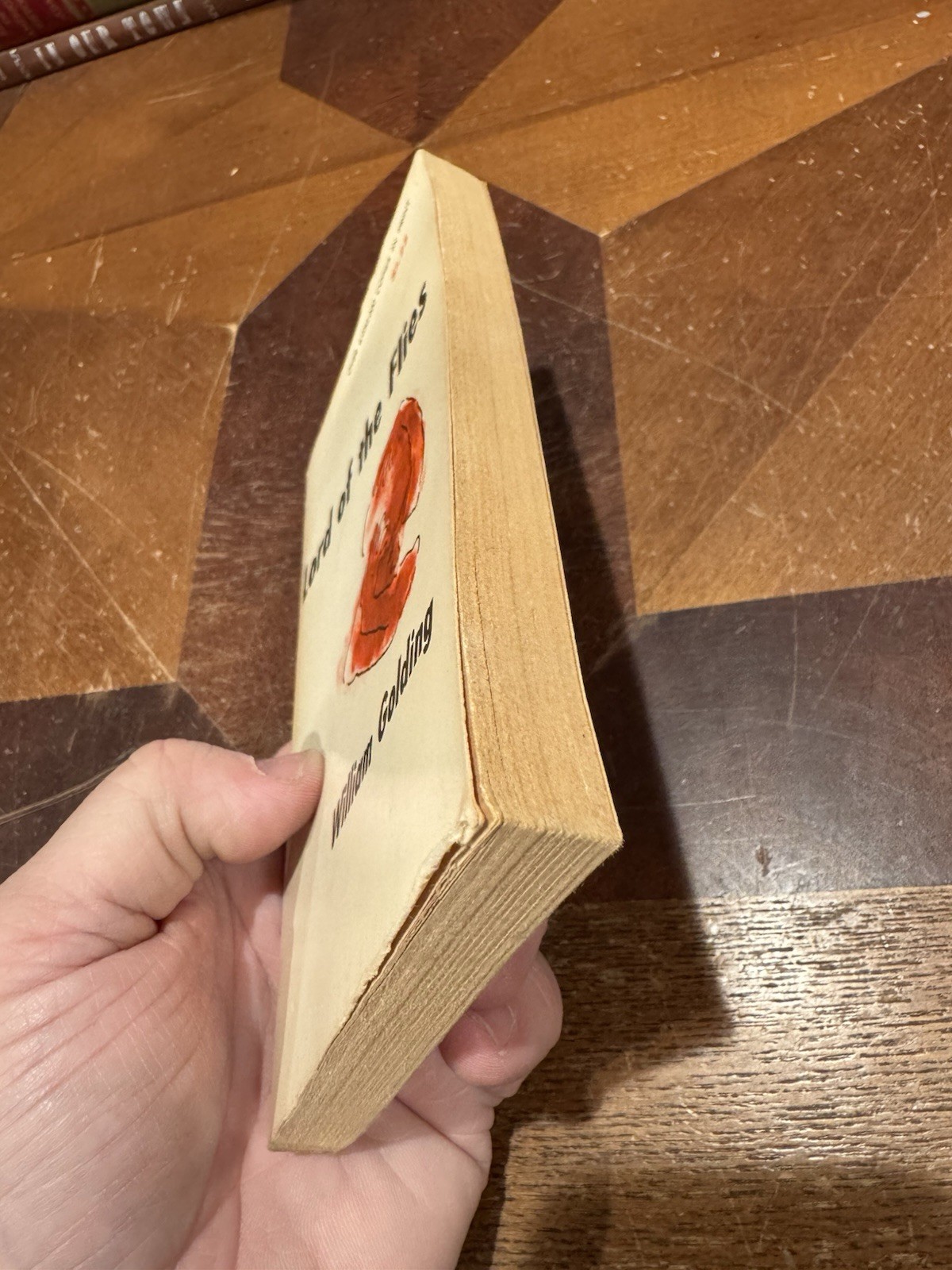 Lord Of The Flies Paperback Book By William Golding 1959 Capricorn Publishing