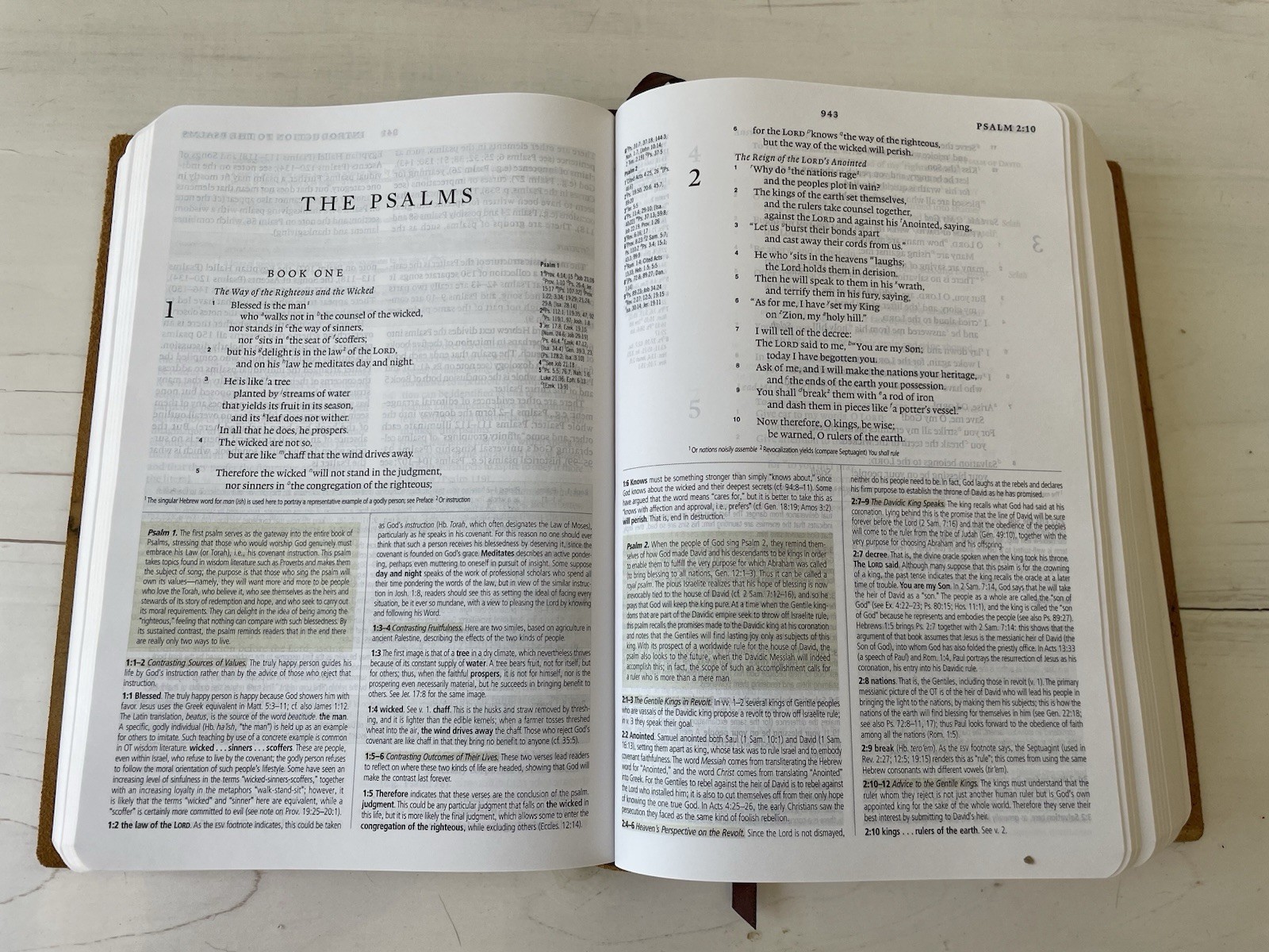 ESV Study Bible Personal Size Natural Brown Leather Out Of Print