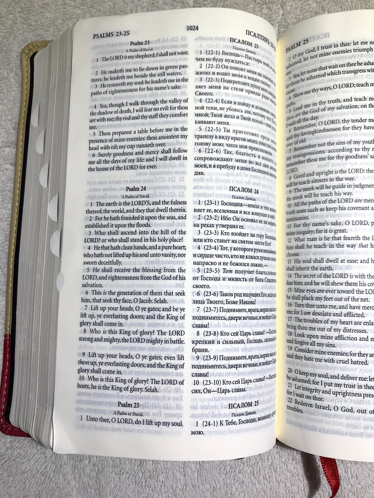 Russian/English Parallel Bible, Tan Cherry, ImitationLeather,Synodal/King James
