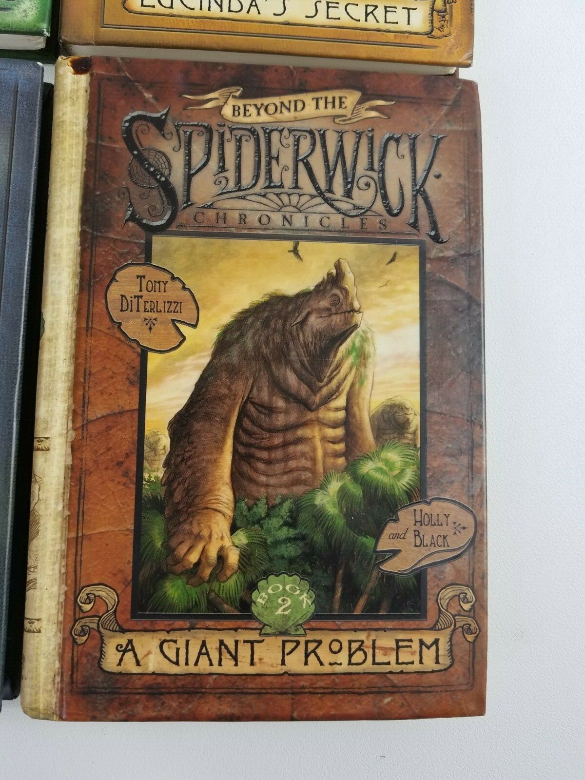 Lot o 4 Assorted Spiderwick Chronicles Books 1, 3, 4, & 4 of Beyond (Hard Cover)