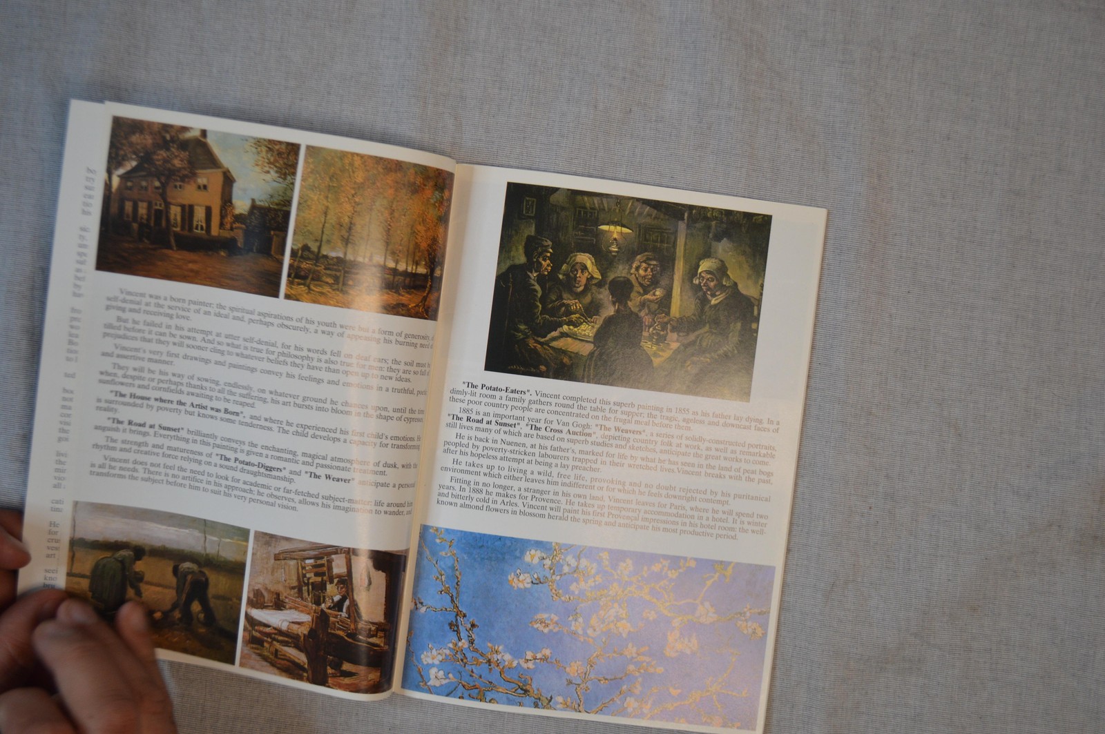 Van Gogh In Provence English Edition 2001 Ajax Monaco VTG