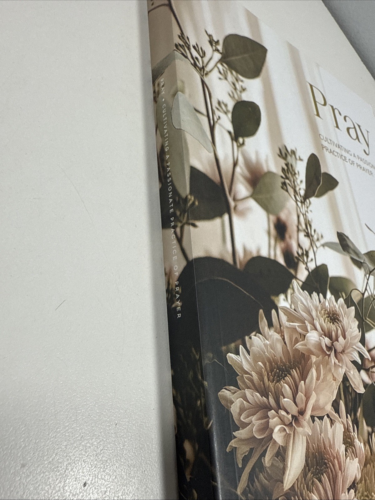 Pray | Cultivating a Passionate Practice of Prayer Workbook Turner Book PB