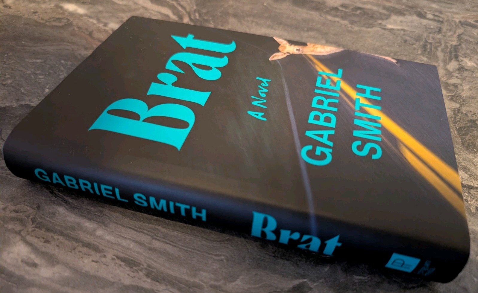Brat a Novel by Gabriel Smith (2024, Hardcover) Very Good Condition