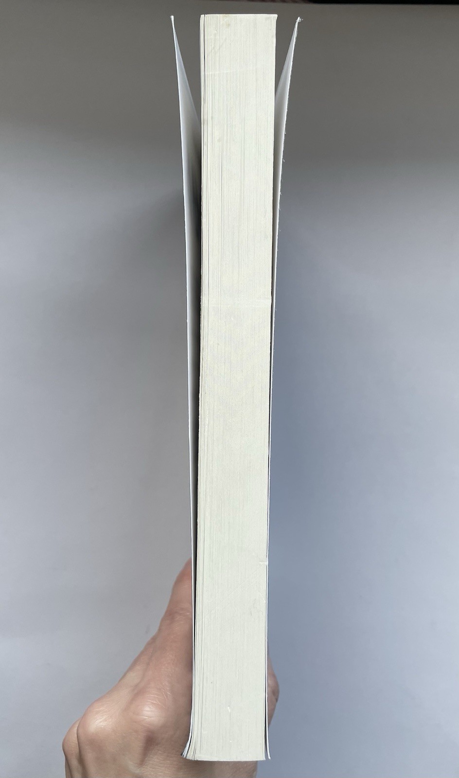 The Dead Mark E Rogers Horror Paperback Zombie Novel Permuted Press Book