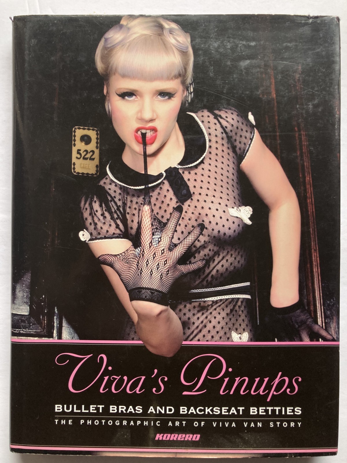 VIVA’S PINUPS – BULLET BRAS AND BACKSEAT BETTIES / VIVA VAN STORY / HARDBOUND