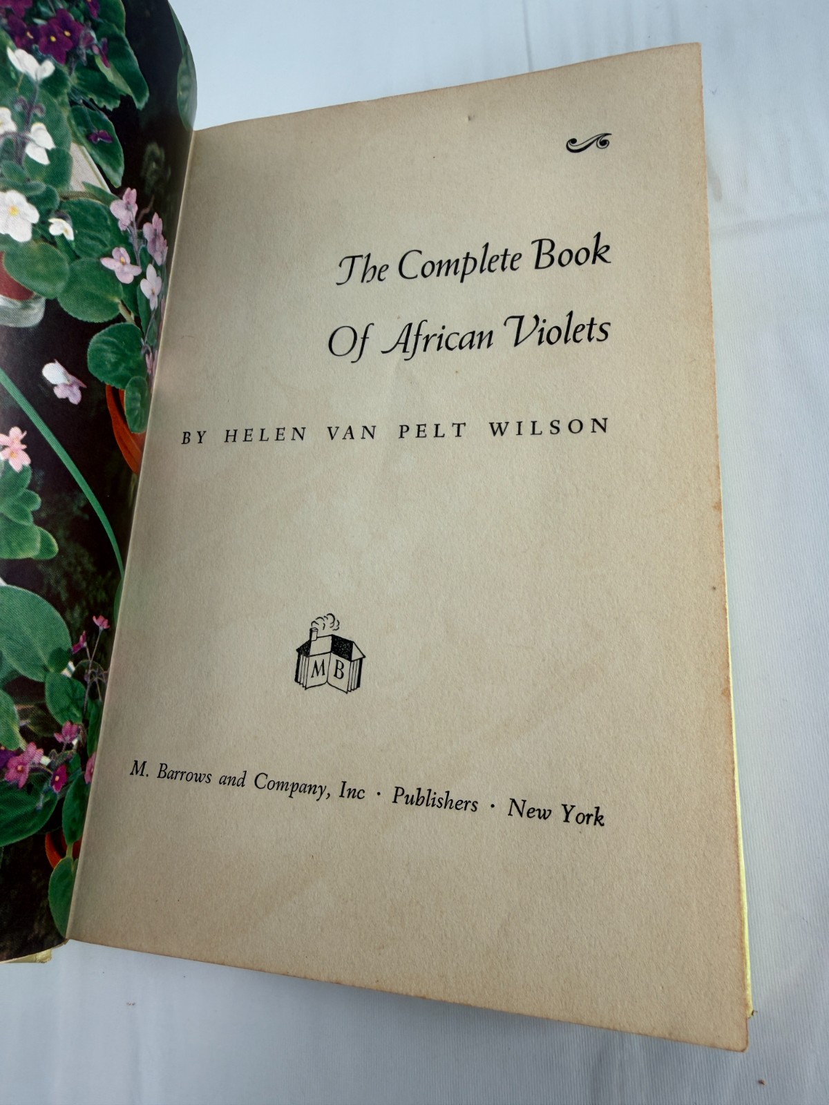 Book of African Violets by Helen Van Pelt Wilson 1953 4th Print HCDJ