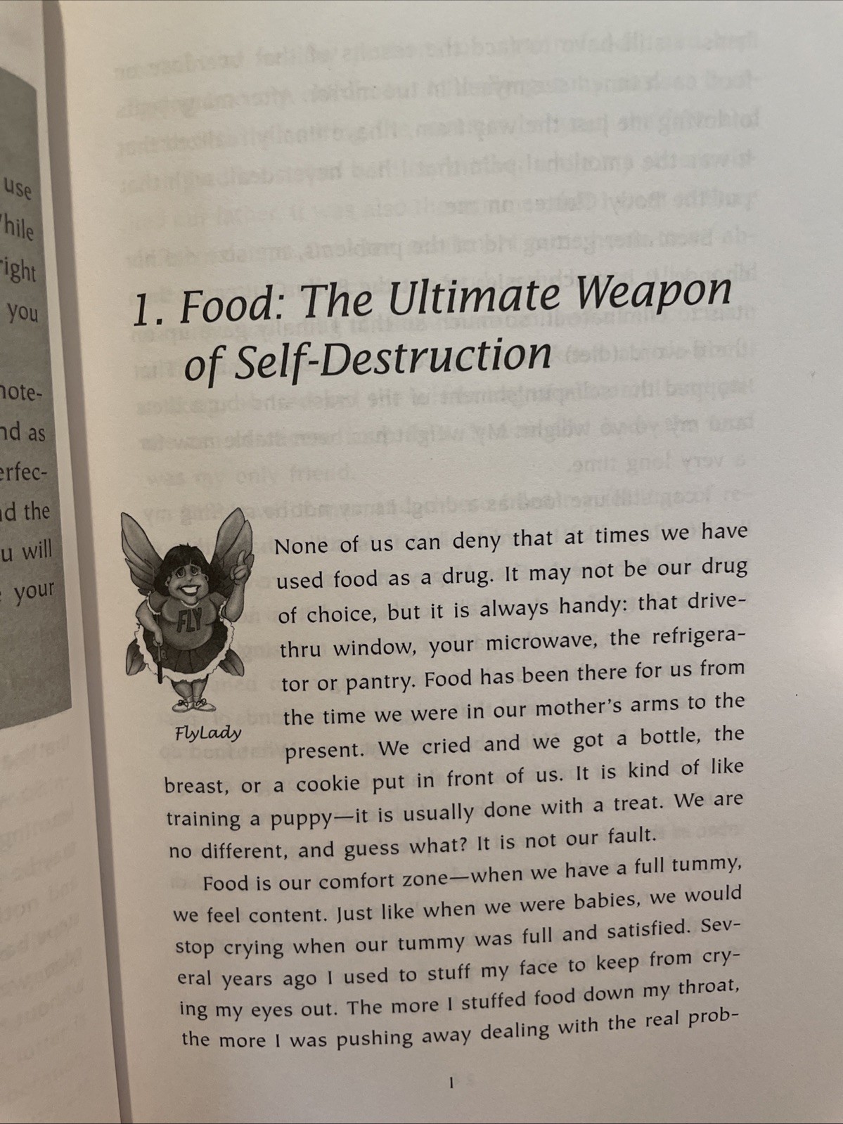 Body Clutter : Love Your Body, Love Yourself by Marla Cilley and Leanne Ely