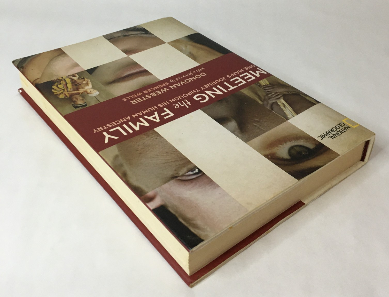 Meeting the Family: One Man’s Journey Through His Ancestry by Donovan Webster