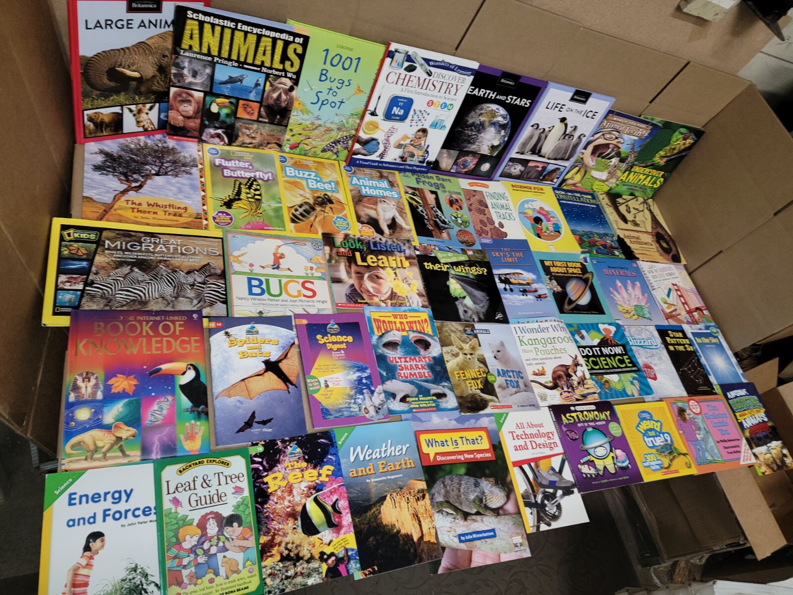 Lot of 10 Science Nature Experiment Animal Educational Learn Kid Child Books MIX