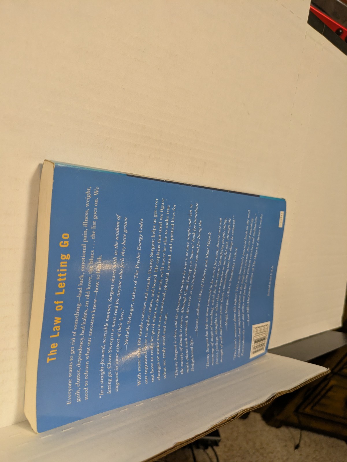 Clean Sweep: Banishing Everything You Don’t – Paperback, by Sargent Denny – Good