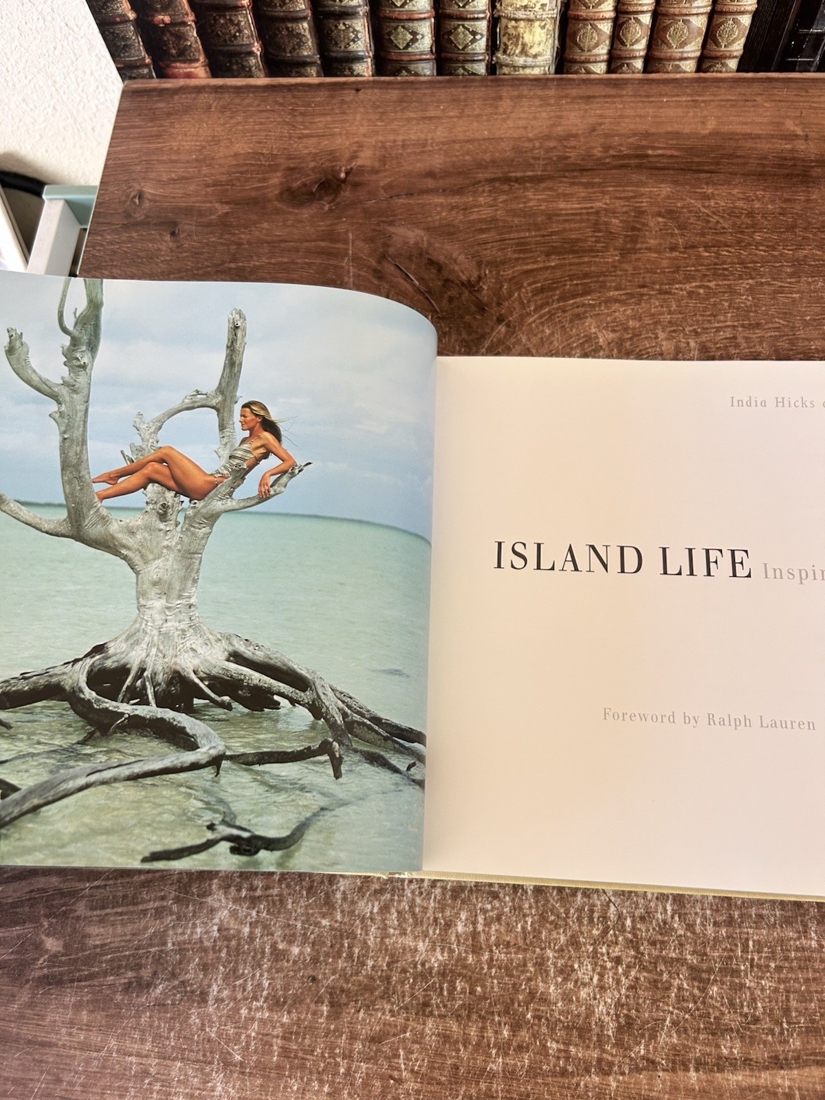 ISLAND LIFE: INSPIRATIONAL INTERIORS By India Hicks – Hardcover **Excellent**