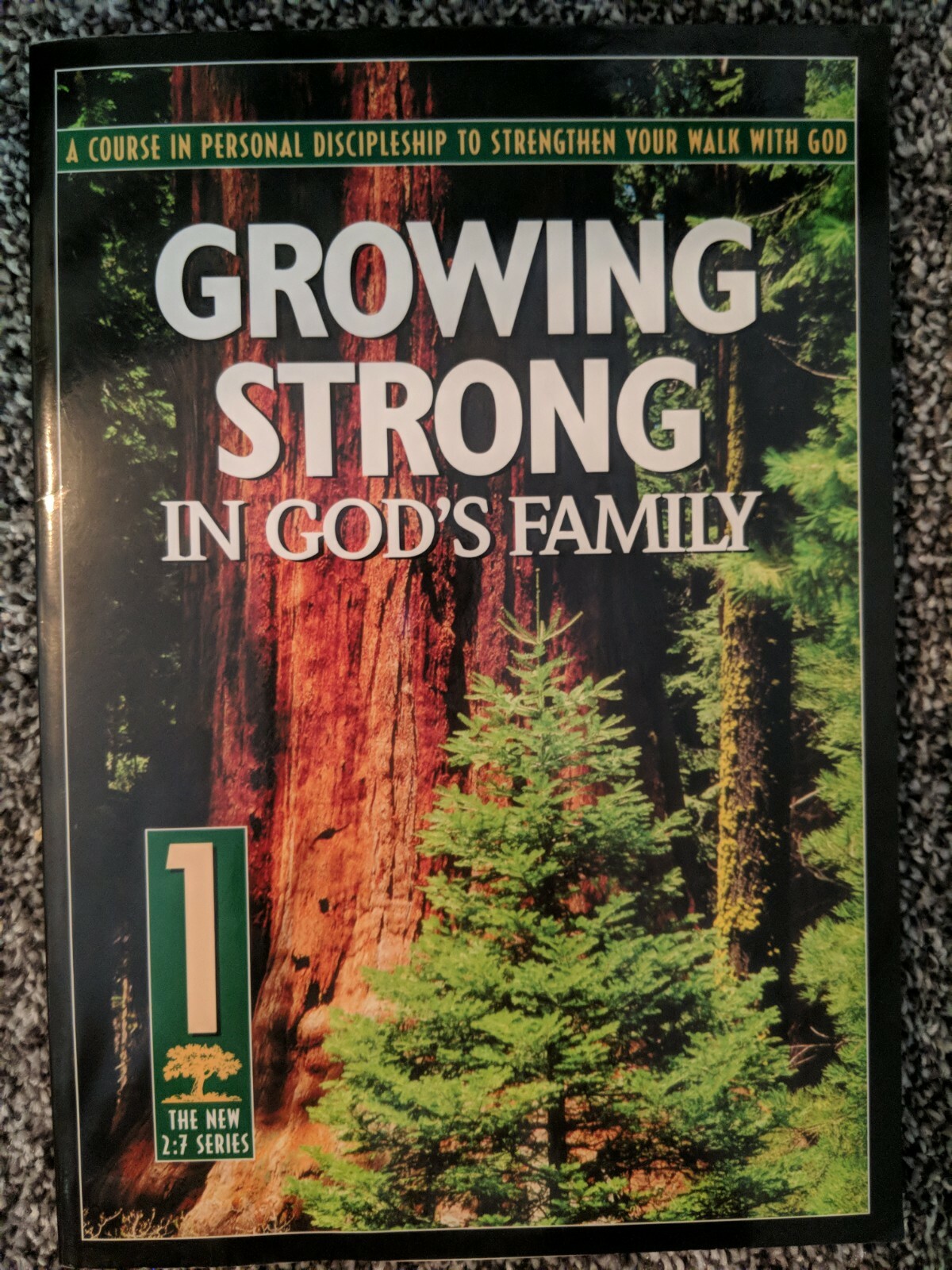 The Revised 2:7 Ser.: Growing Strong in God’s Family : A Course in Personal Dis…