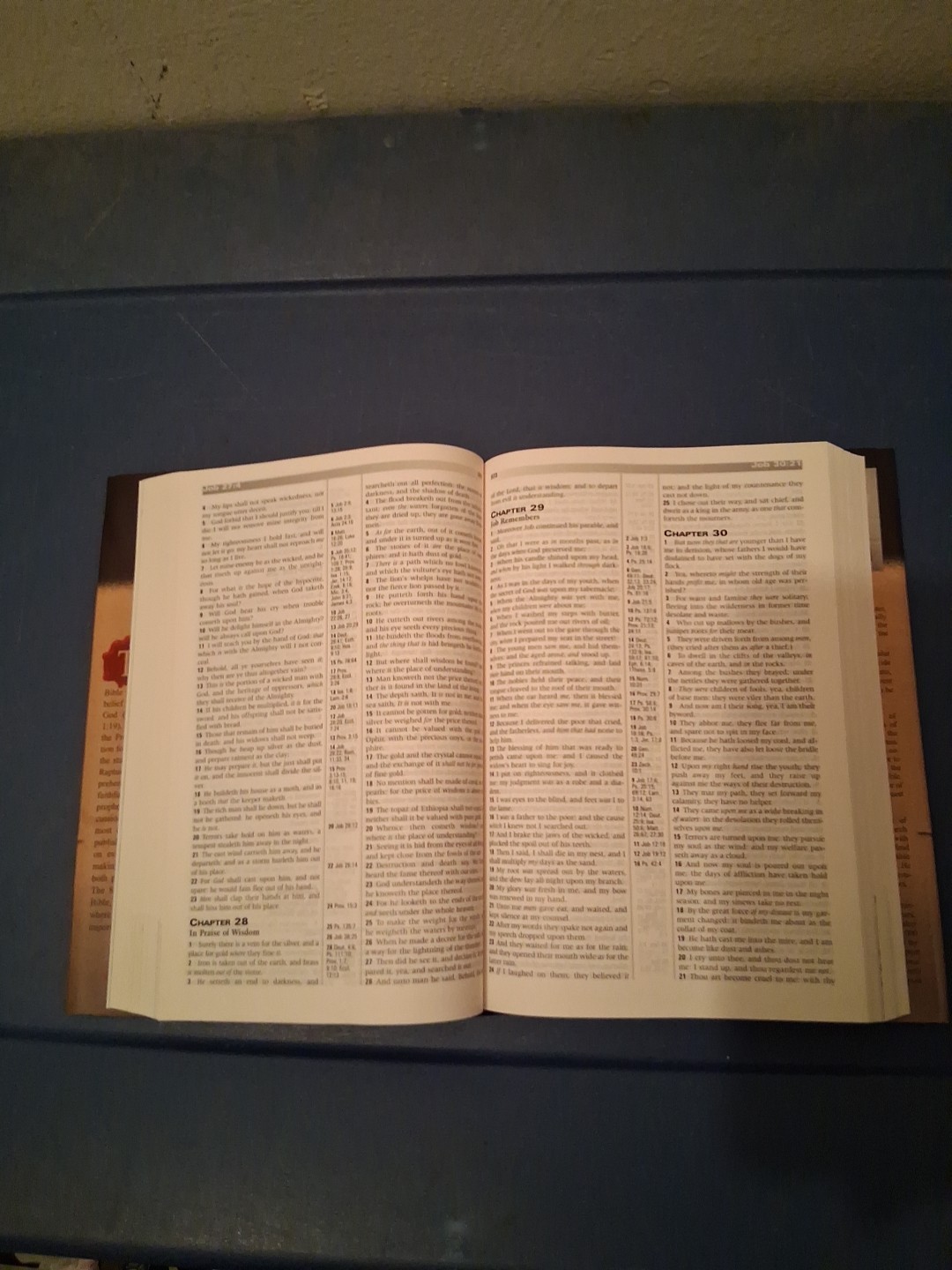 Prophecy Study Bible by Tim Lahaye (2000, Hardcover)