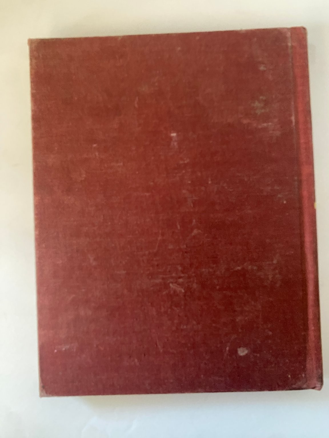 Journeys Through Many Lands Stull Hatch 1948 Geography Textbook Allyn & Bacon