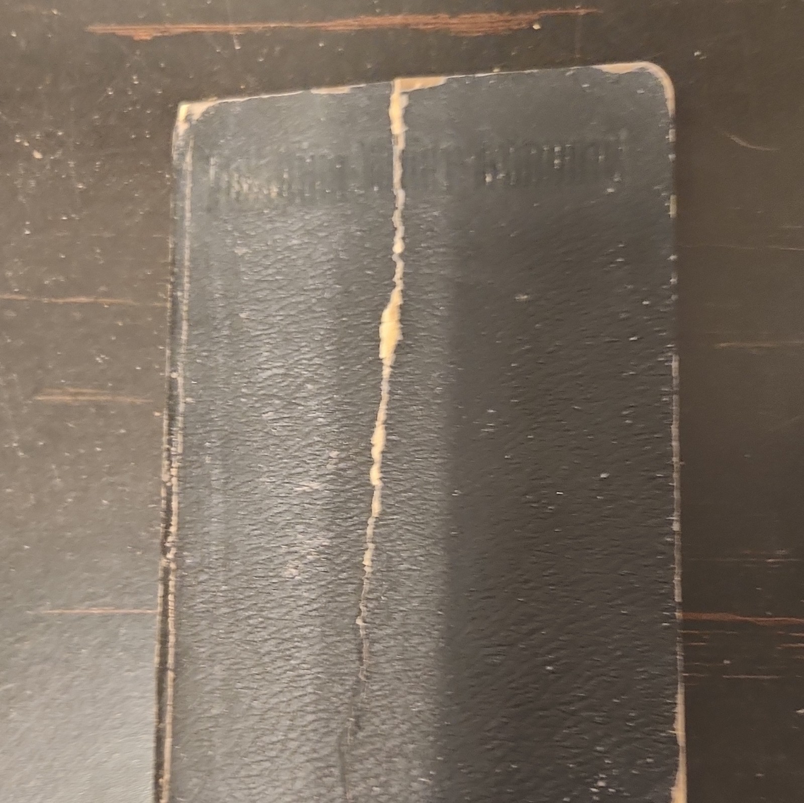 Palästina-Bilder-Testament German Illus Hardcover Luther 1812