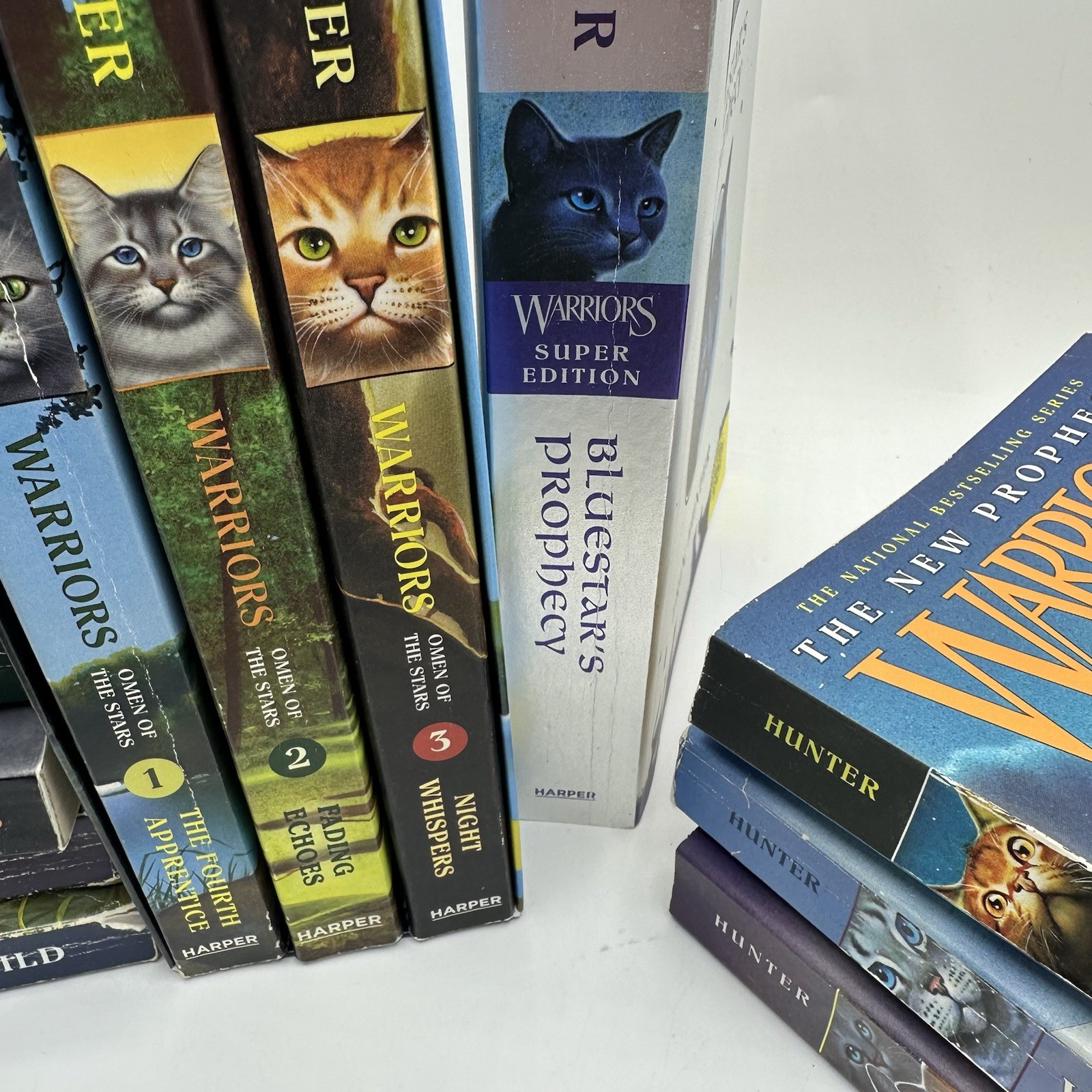 Warriors Series Mixed Titles 12 Book Lot Paperback Chapter Book Lot Erin Hunter