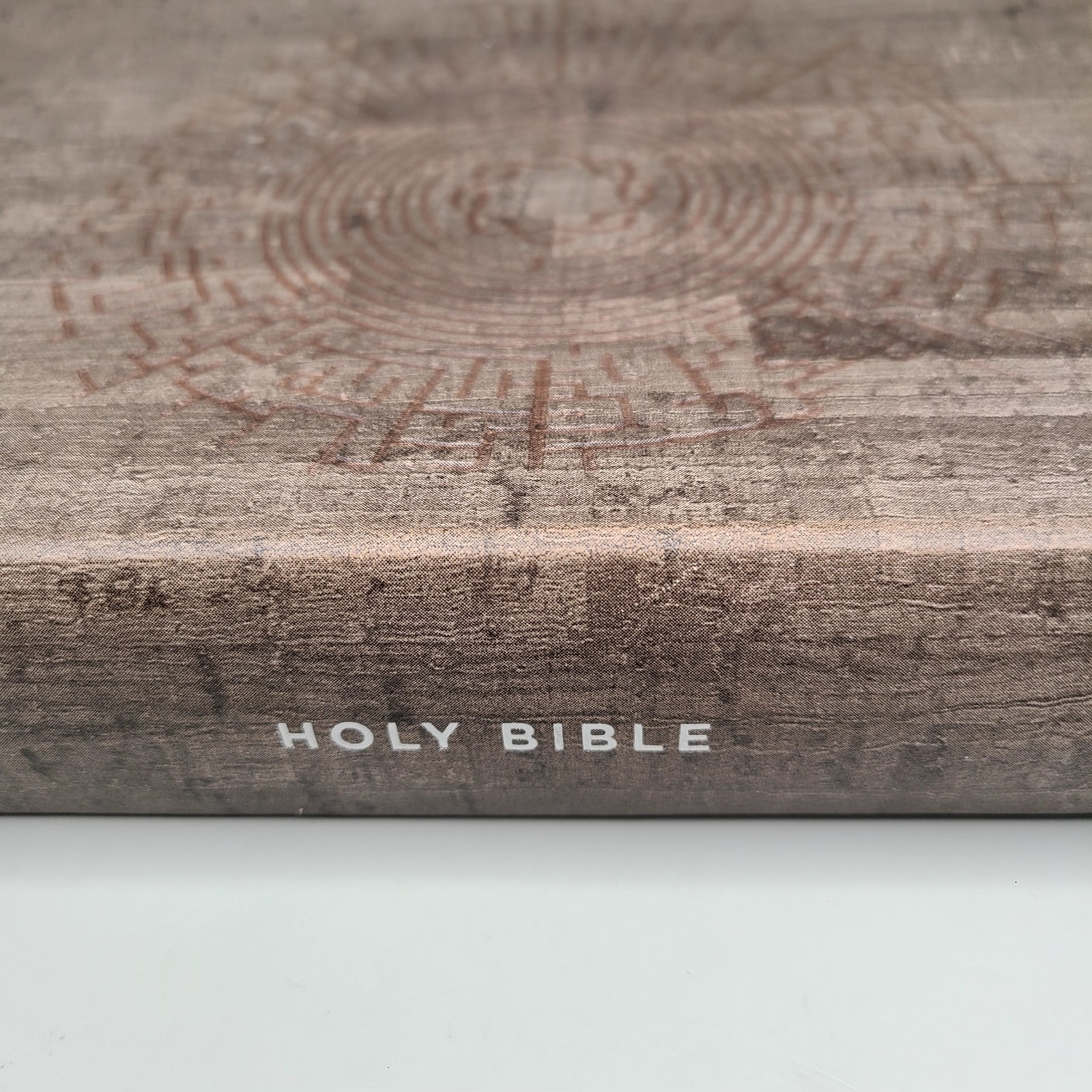 Essential Teen Study Bible : Holman Christian Standard Bible