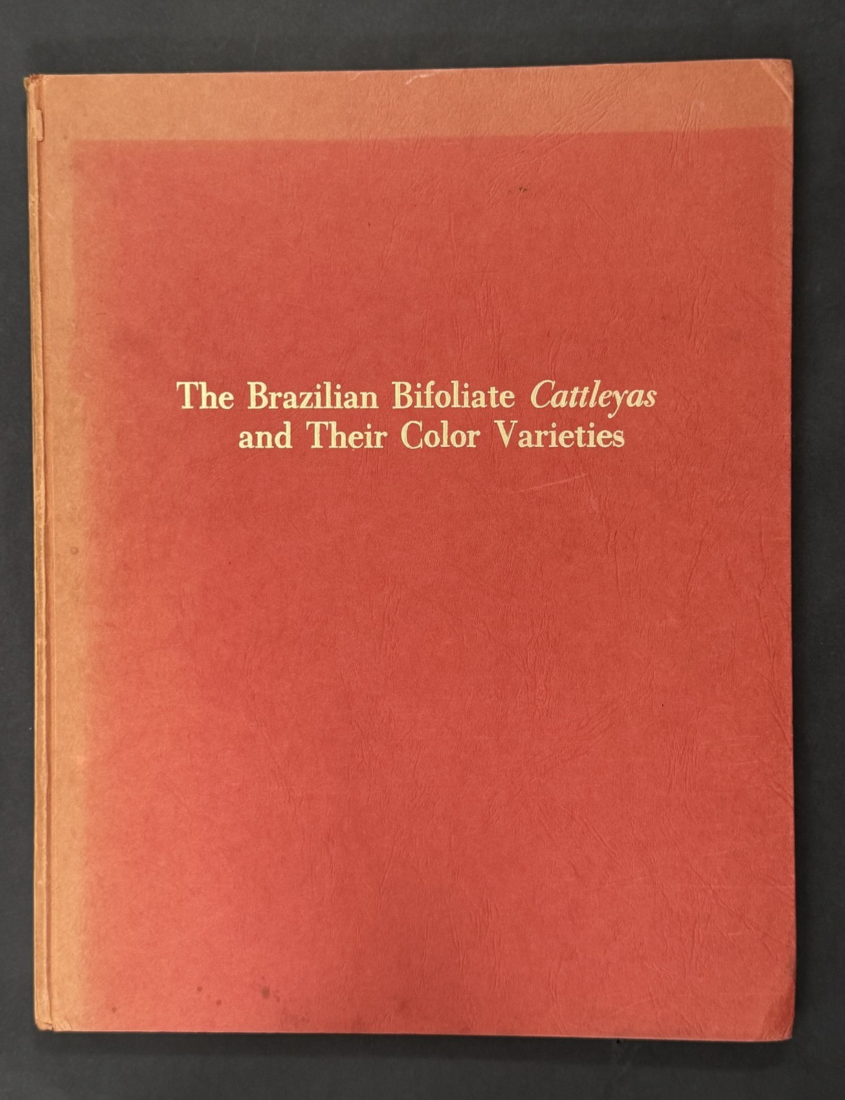 Brazilian Bifoliate Cattleyas – Orchids, Flowers, Cultivation, Botany