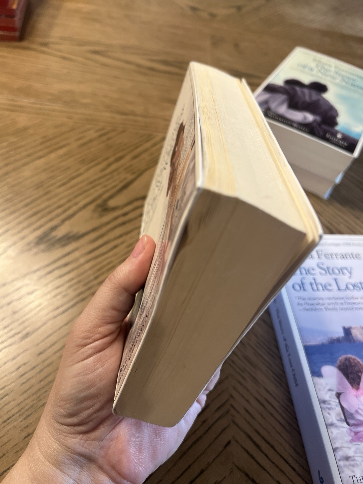 Neapolitan Novels 1-4 FULL SET, by Elena Ferrante Europa Editions